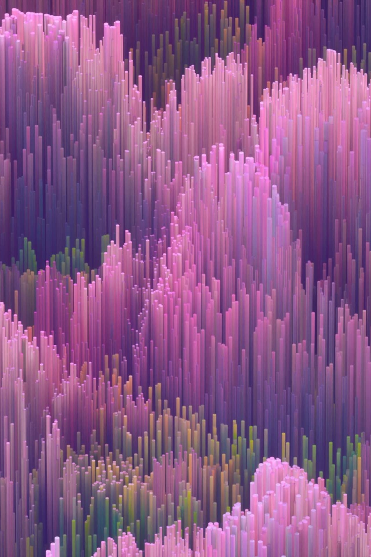 The go-to agency for data-informed decision making